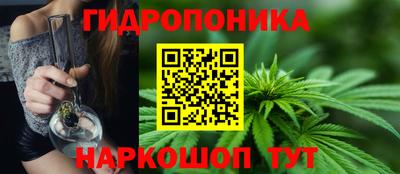гидра Волгодонск