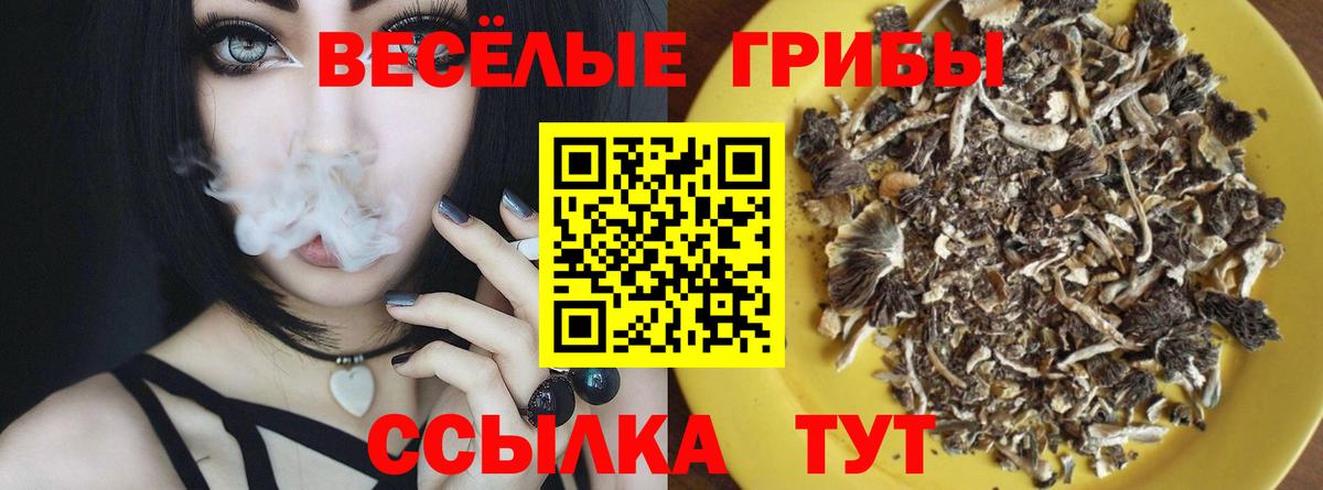 Кохма  Псилоцибиновые грибы прущие грибы  Псилоцибиновые грибы Magic Shrooms  Вход с VPN 